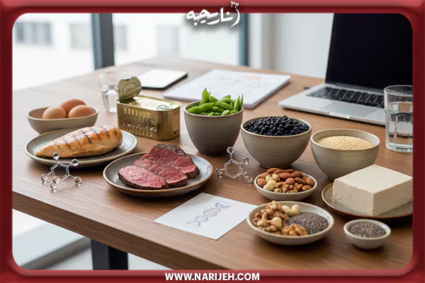 اهمیت منابع پروتئین در حفظ انرژی و عملکرد شغلی